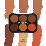 Open Phoera six-pan eyeshadow palette with warm browns and orange shades; background brush strokes; 'PHOERA' text visible.