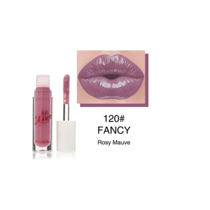 Lip gloss tube with applicator next to a rosy mauve lip color swatch labeled 120# FANCY Rosy Mauve.