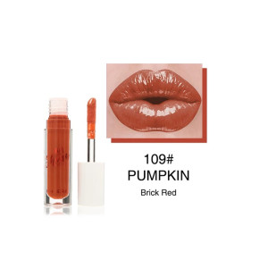 Lipstick in shade 109 Pumpkin Brick Red with its applicator and a glossy lip swatch on a white background.