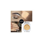 Collage showing Phoera Shimmer Pigment Eyeshadow in shade 301 Carnelian: a closed eye with champagne shimmer, swatch on skin, and the loose pigment jar labeled 'Pigment Eyeshadow'