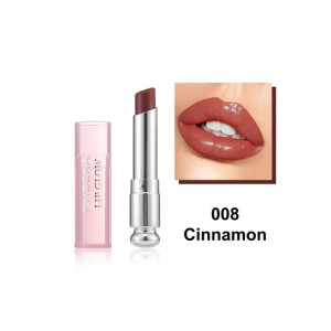 Lipstick in Cinnamon shade (008) with a pink lip gloss tube and a lipstick swatch on lips showing a warm red-brown color.