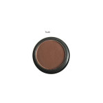 Brown eyeshadow pan labeled 'Truth'